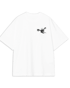 Camiseta Boxy Fit Dragón