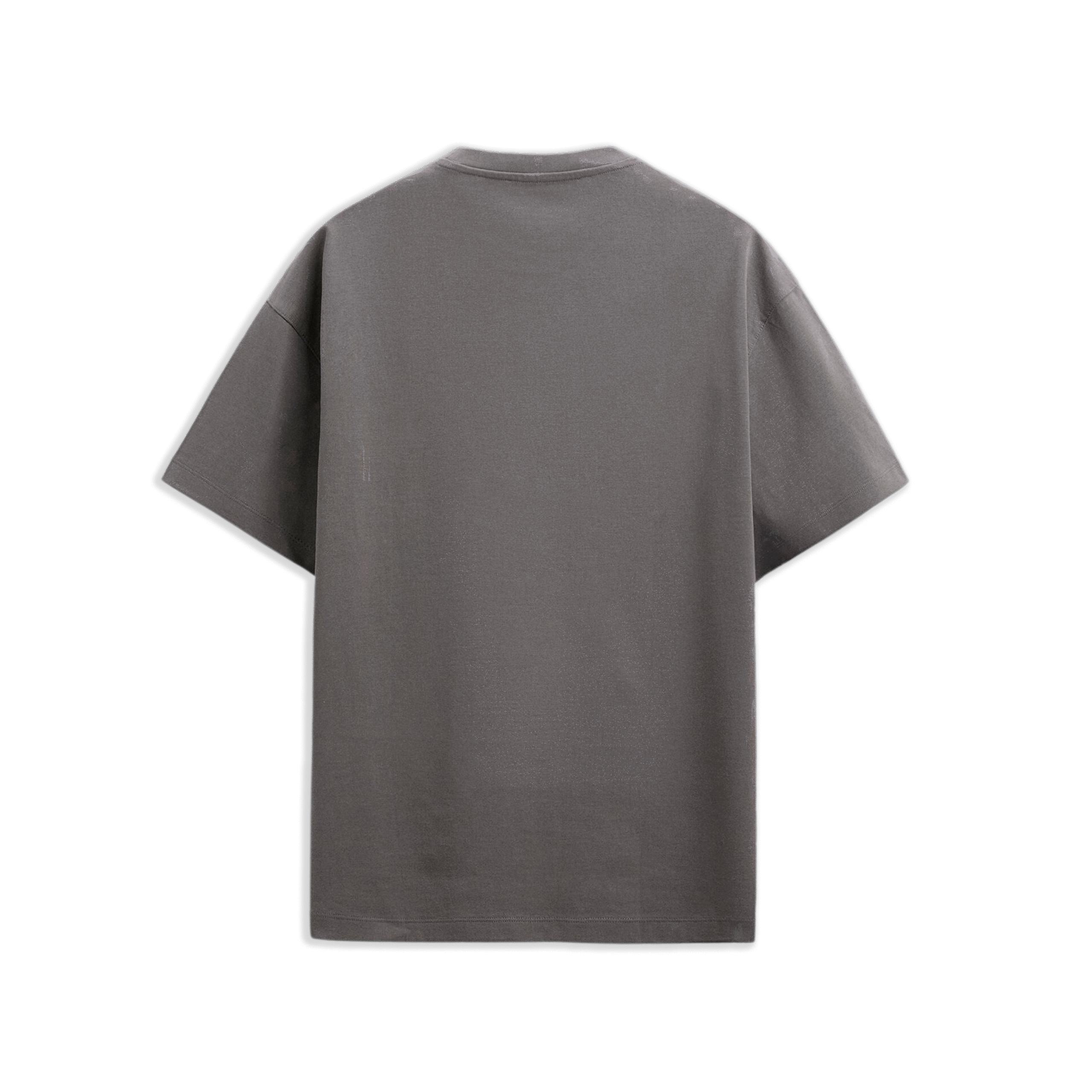 Camiseta Oversize Gris Ceniza – Guerrero Meditativo