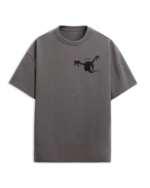 Camiseta Oversize – Guerrero Medieval vs Dragón